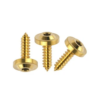 Titanium zelftappende schroef